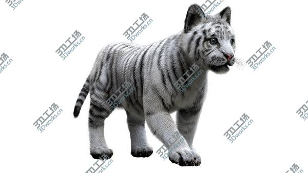 images/goods_img/20210312/3D White Tiger Baby Fur/3.jpg